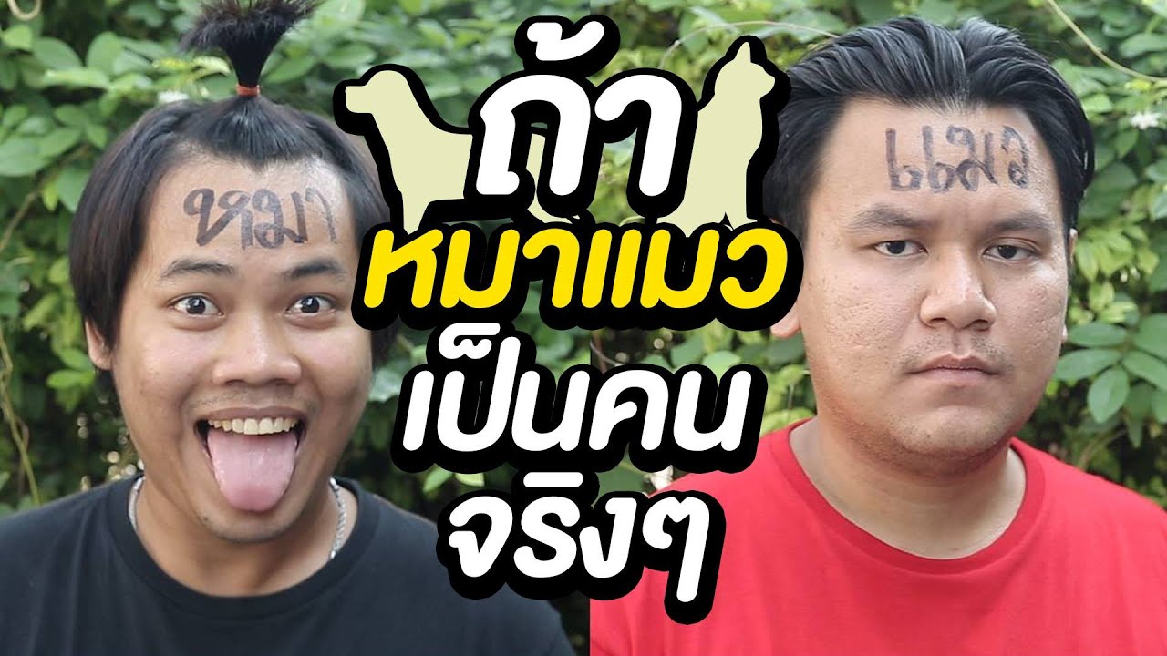 ถ้า หมาแมว เป็นคนจริงๆ