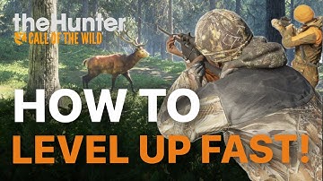 How To LEVEL UP FAST for BEGINNERS | the Hunter Call of the Wild