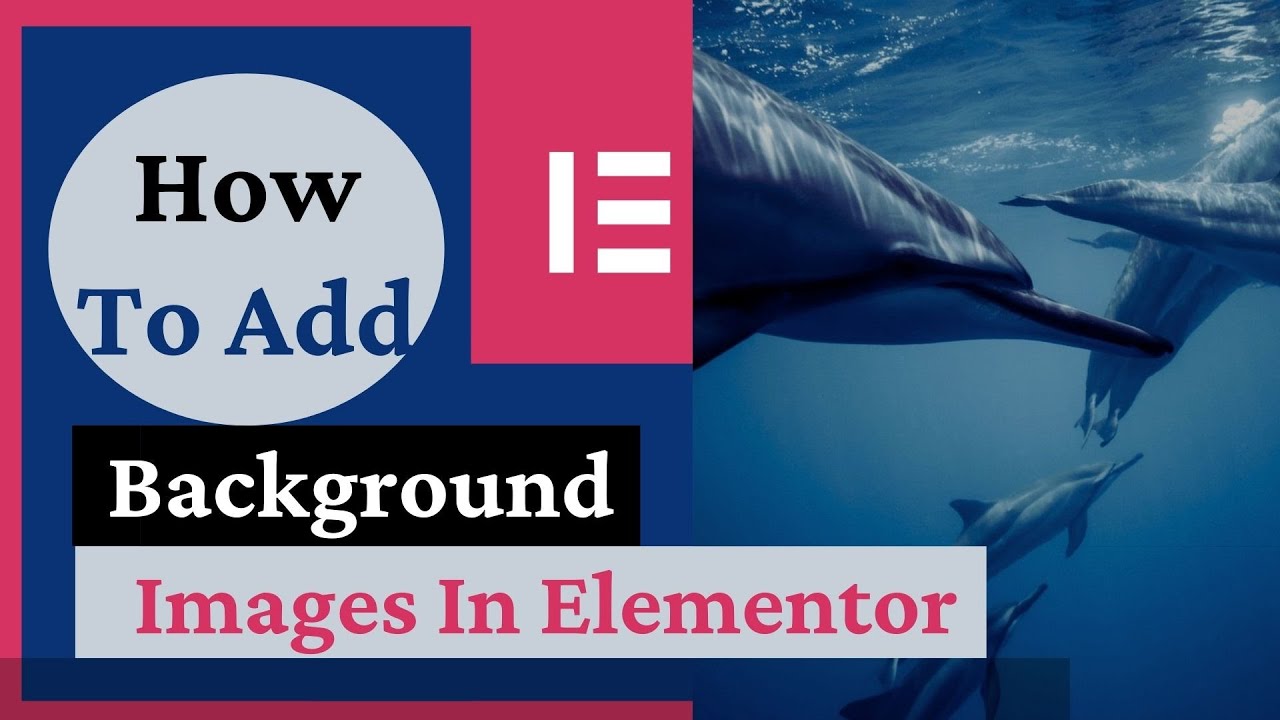 How To Add Background Images In Elementor WordPress | Background Images ...