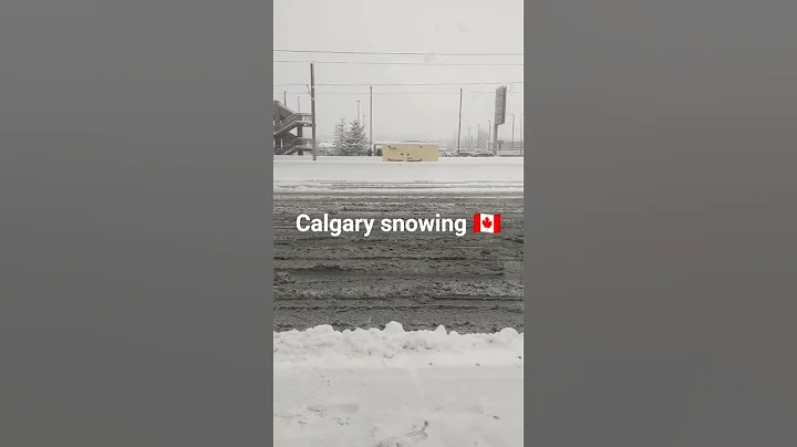 Calgary snowing #malborough lrt#ctrain#bus #station #alberta #snow #snowfall #weather #trending