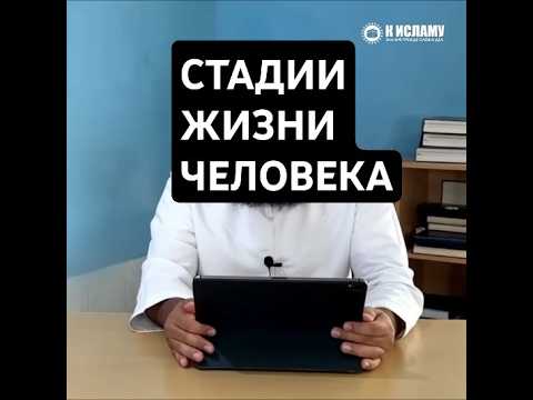 334. Четыре стадии жизни человека #Shorts Ринат Абу Мухаммад