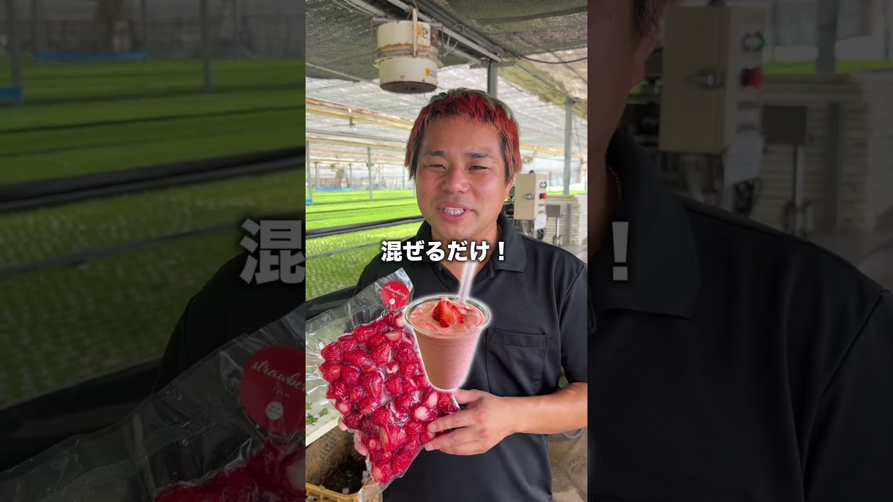 凍っても甘いと好評の冷凍いちご販売中‼️