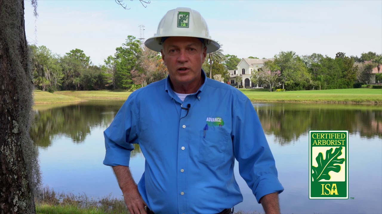 Advance Tree Pros Certified Arborist