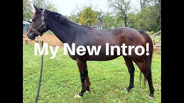 My New INTRO! Welcome to CNK Equestrian!