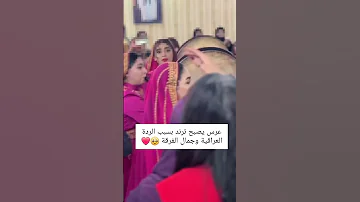 عرس اصبح ترند في العراق يا يمه لا ماريده 