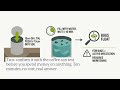 Calgary Chinch Bug Control 2026 How to Spot Them Test for Them and Treat the Damage