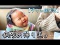 【ダウン症】破壊力抜群な笑顔を習得した、いつものうどん屋【育児】