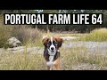 Portugal Farm Life 64 - Is Portugal cold in Autumn and Winter?❄