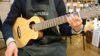 Anuenue Bird Guitar Ann-S10