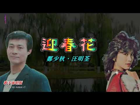 迎春花 鄭少秋 汪明荃 歌手演唱版
