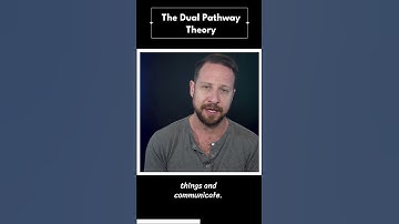 The dual pathway theory might explain how our emotions can override logic in stressful situations