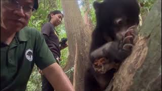 Little Manja Explores the Forest