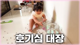 누가 걸으면 편해진다고 했음? 후...