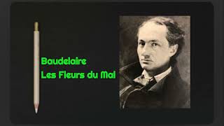 Grammaire : Analyse d'un énoncé de Baudelaire.