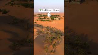 Top 10 Staycation Hotels in UAE