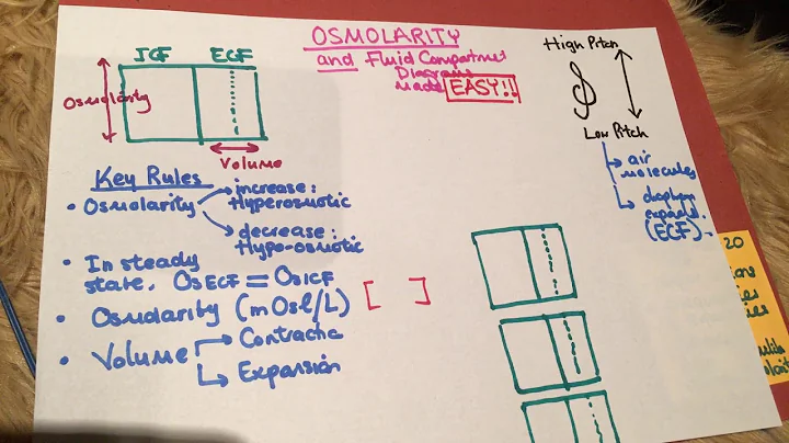 Osmolarity and body fluid diagrams compartments made easy cell membrane physiology skin physio