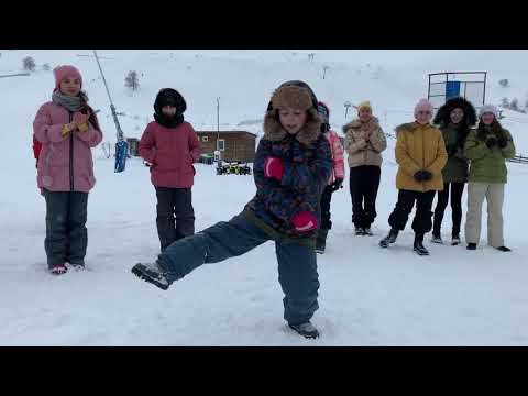 ქართული ცეკვის ანსამბლი ,,რუსთაველები\"