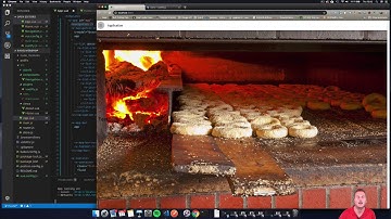 VueJS | Lvl 5.8 Component Navigation