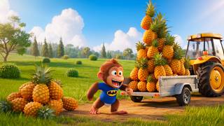 Monkey CoCo is driving a tractor to harvest pineapples and rescue a cat