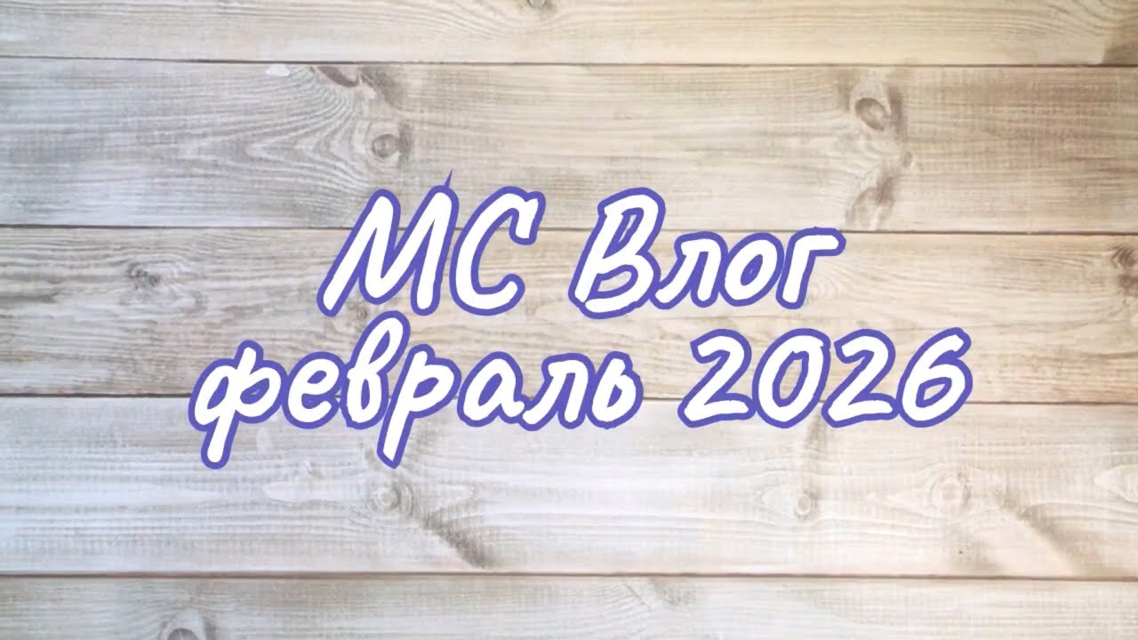 мс влог февраль 2026