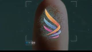 Bitwings Lanzamiento Oficial