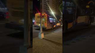 Bronx, New York - BX36 Bus