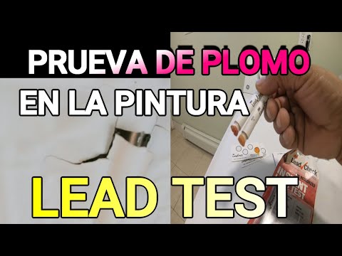 Video: Cómo cuidar los lirios: 8 pasos (con imágenes)