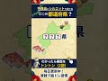 ⛰️都道府県シルエットクイズ⛰️認知症予防に！脳トレクイズで脳の若返り #2