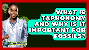 What Is Taphonomy And Why Is It Important For Fossils? - Earth Science Answers