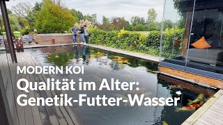 With Makoto and Yvo at Volker's pond | Modern Koi Blog #7629