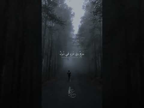 رحلت وفي شفتي حديث أنشودة حنين بقلبي وشوق دفين