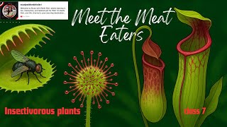 The Fascinating World of Insectivorous Plants | Pitcher plant | Venus Fly Trap | Class 7 Science |
