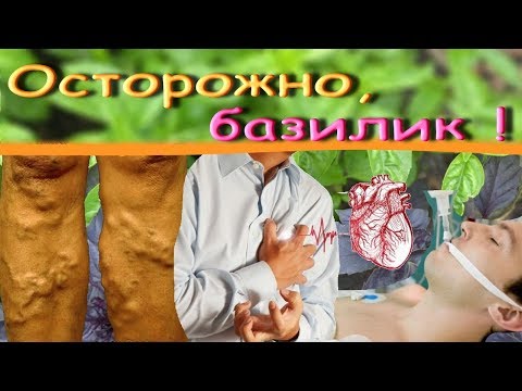 Осторожно, базилик !