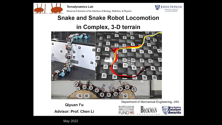 Dissertation defense - Qiyuan Fu - Snake and Snake Robot Locomotion in Complex, 3-D Terrain