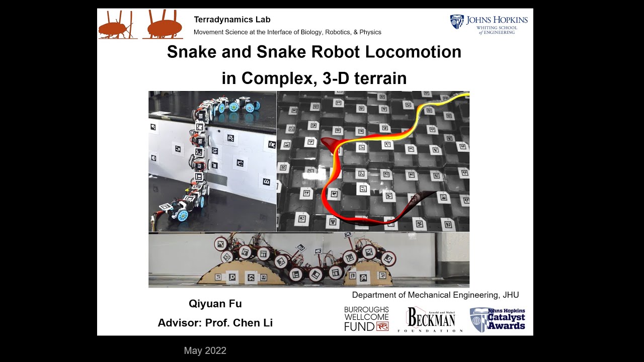 Dissertation defense - Qiyuan Fu - Snake and Snake Robot Locomotion in ...