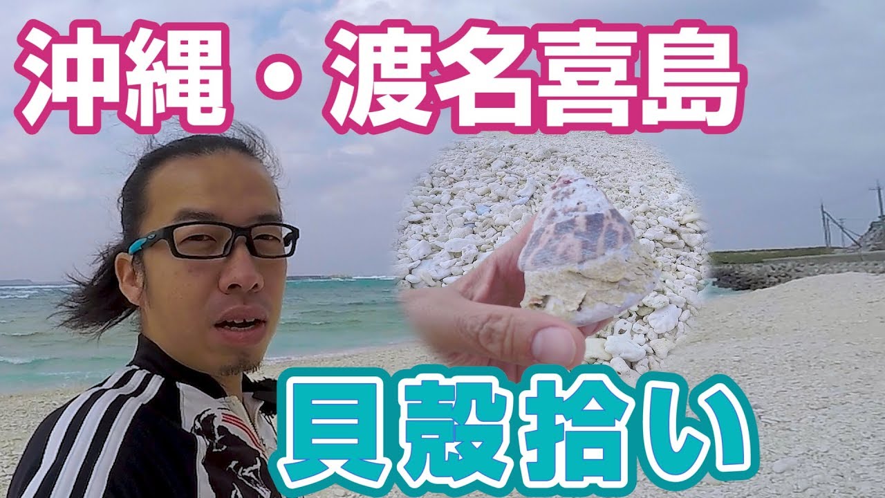 沖縄県渡名喜島の名も無き海岸で本気の貝殻拾い - YouTube