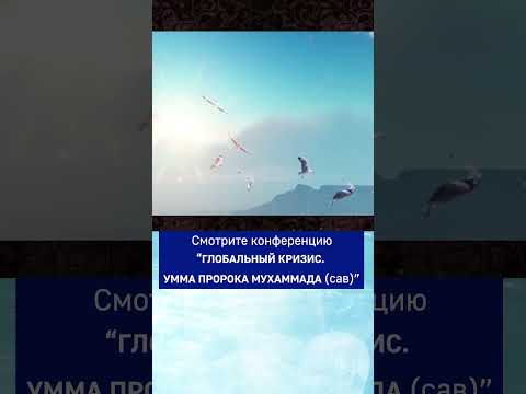 Как узнать Имама