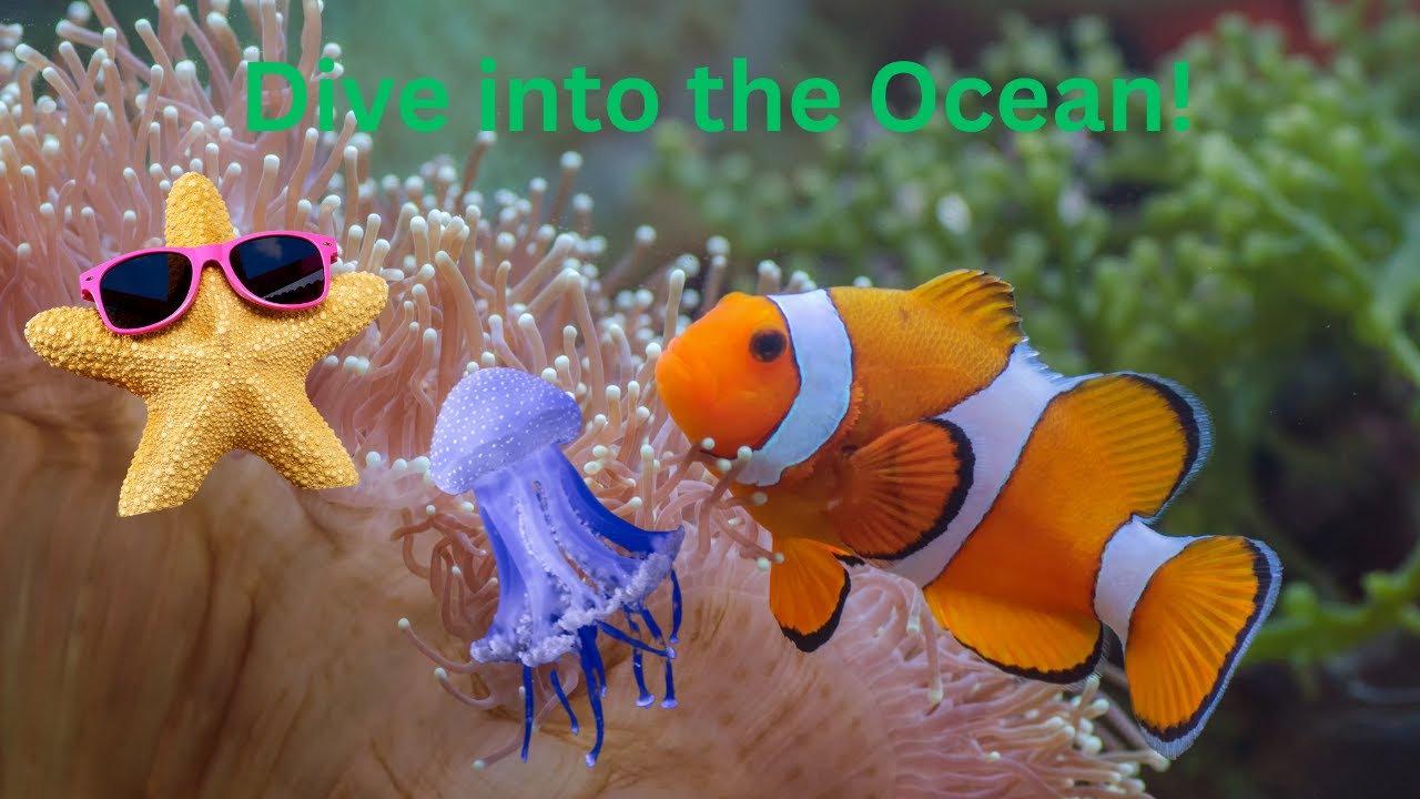 Ocean Creations# 🌊  Fun & Educational Kids Song About Sea Life#