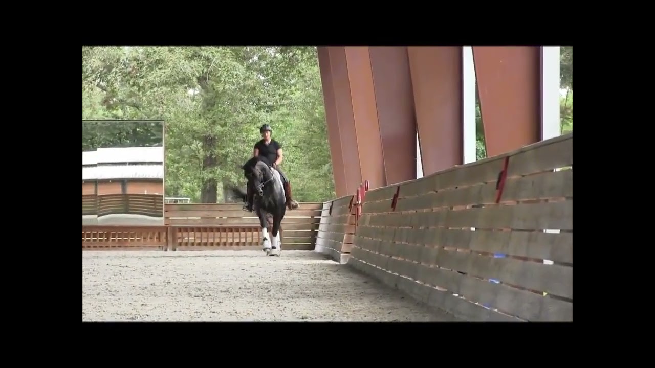 Supremat OLD   Endel Ots Clinic Aug 2015