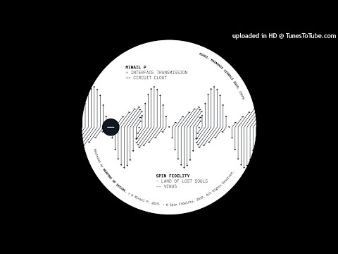 Spin Fidelity — Mihail P - Interface Transmission