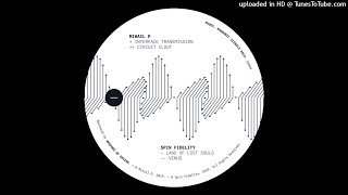 Mihail P - Interface Transmission