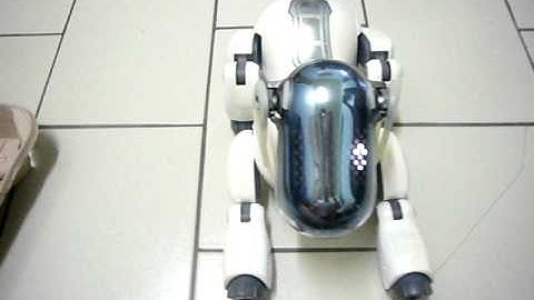 SONY AIBO ERS-7M3 Japanese Edition new born!