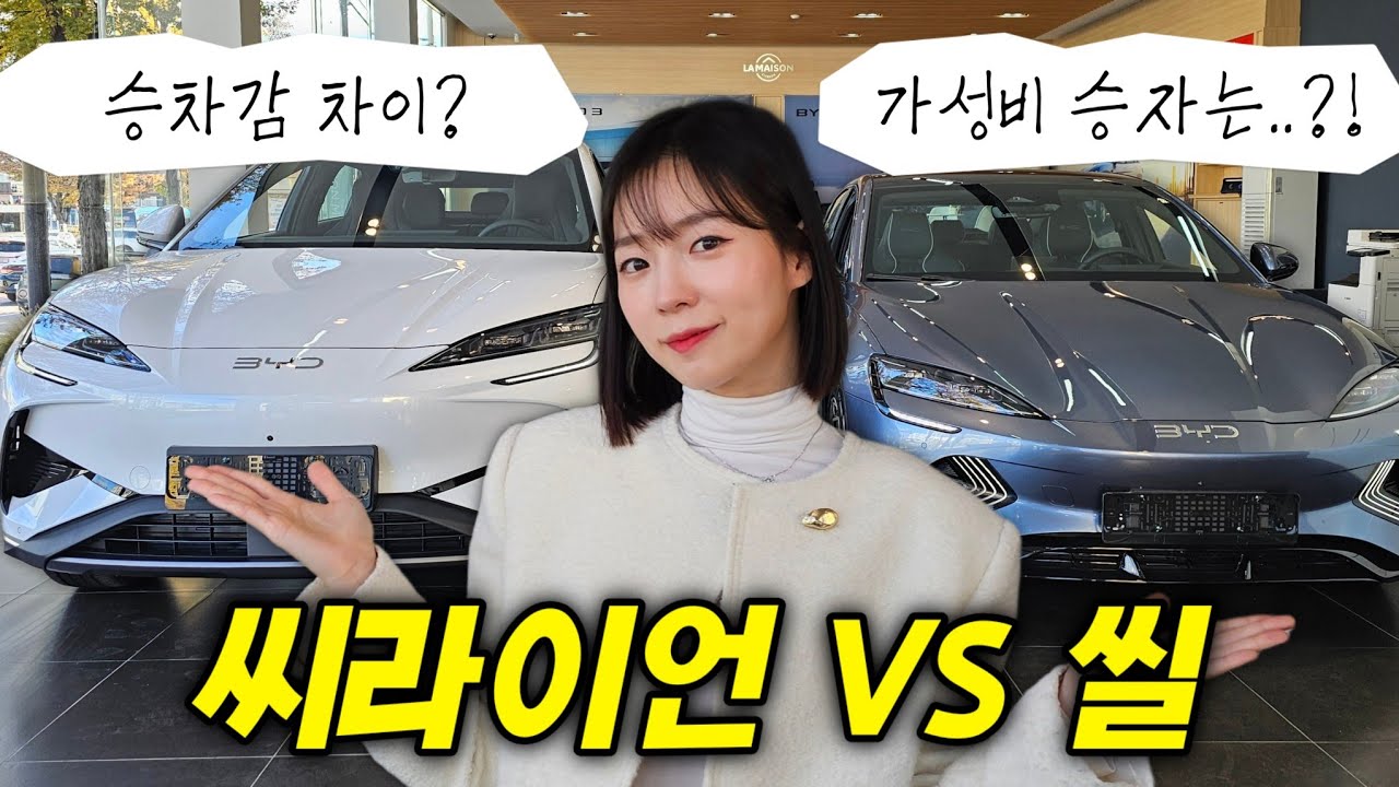 BYD 구입 전 필수 시청..🌟 씨라이언, 씰 차이 확실한데?!