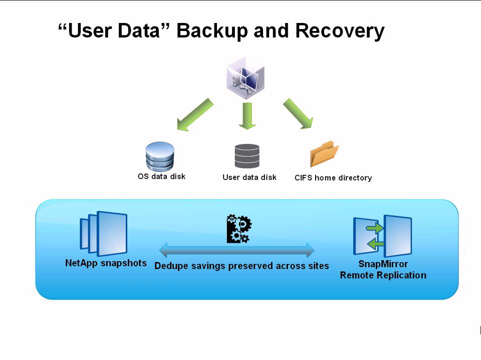 Combining VMware Linked Clones with the NetApp Rapid Cloning Utility ...