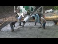 Concrete Slab Being Poured for our new eBay Storage building! Concrete Slab Being Poured for our new eBay Storage building!
