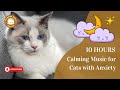 Calming music for cats with anxiety no ads 10 hours  relaxing music for cat