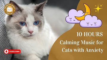 Calming Music for Cats with Anxiety No Ads 10 Hours 🎵 Relaxing Music For Cat