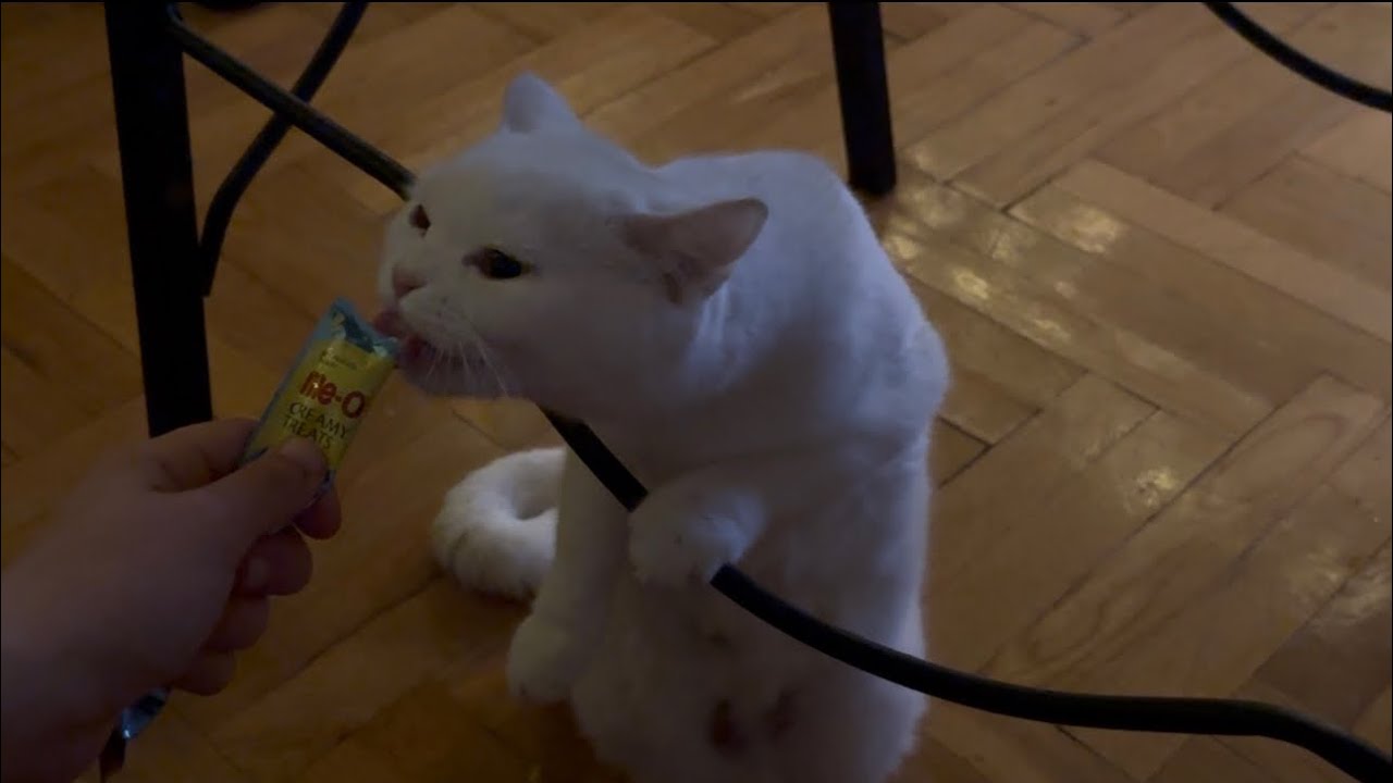 الجمعة الثانية من رمضان🌙 