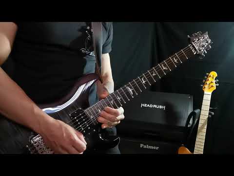 PRS SE custom
