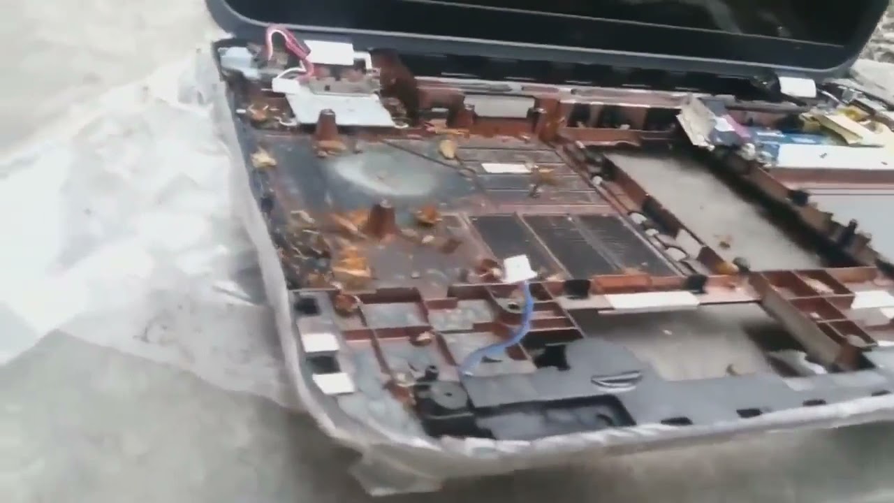 Единая Служба Дезинфекции 89162363434 круглосуточно. Работаем на всей ...